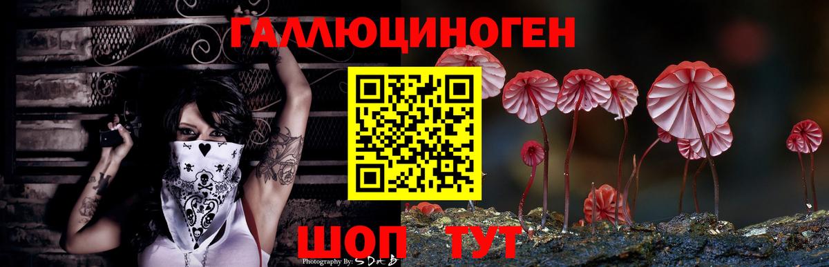 Псилоцибиновые грибы Psilocybe Ноябрьск